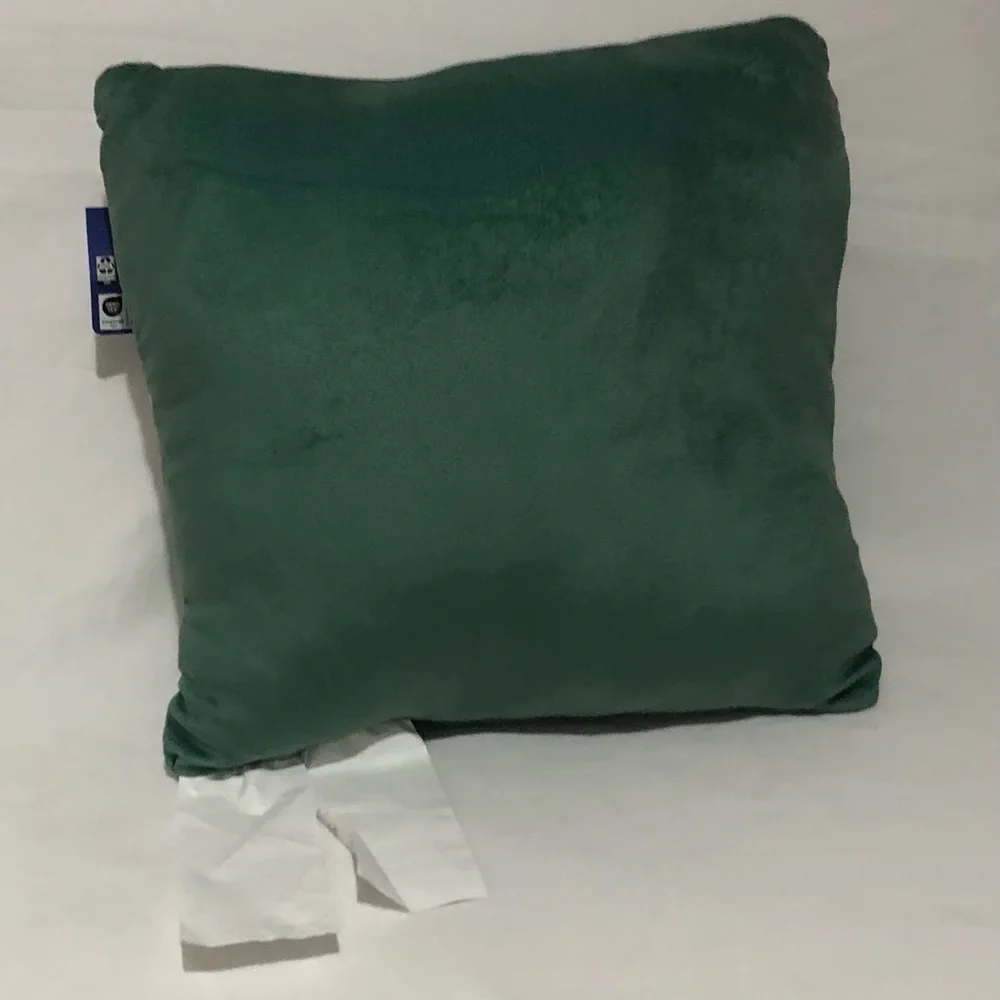Bluey Holiday Decorative squishy Pillow - Green.12”X12”